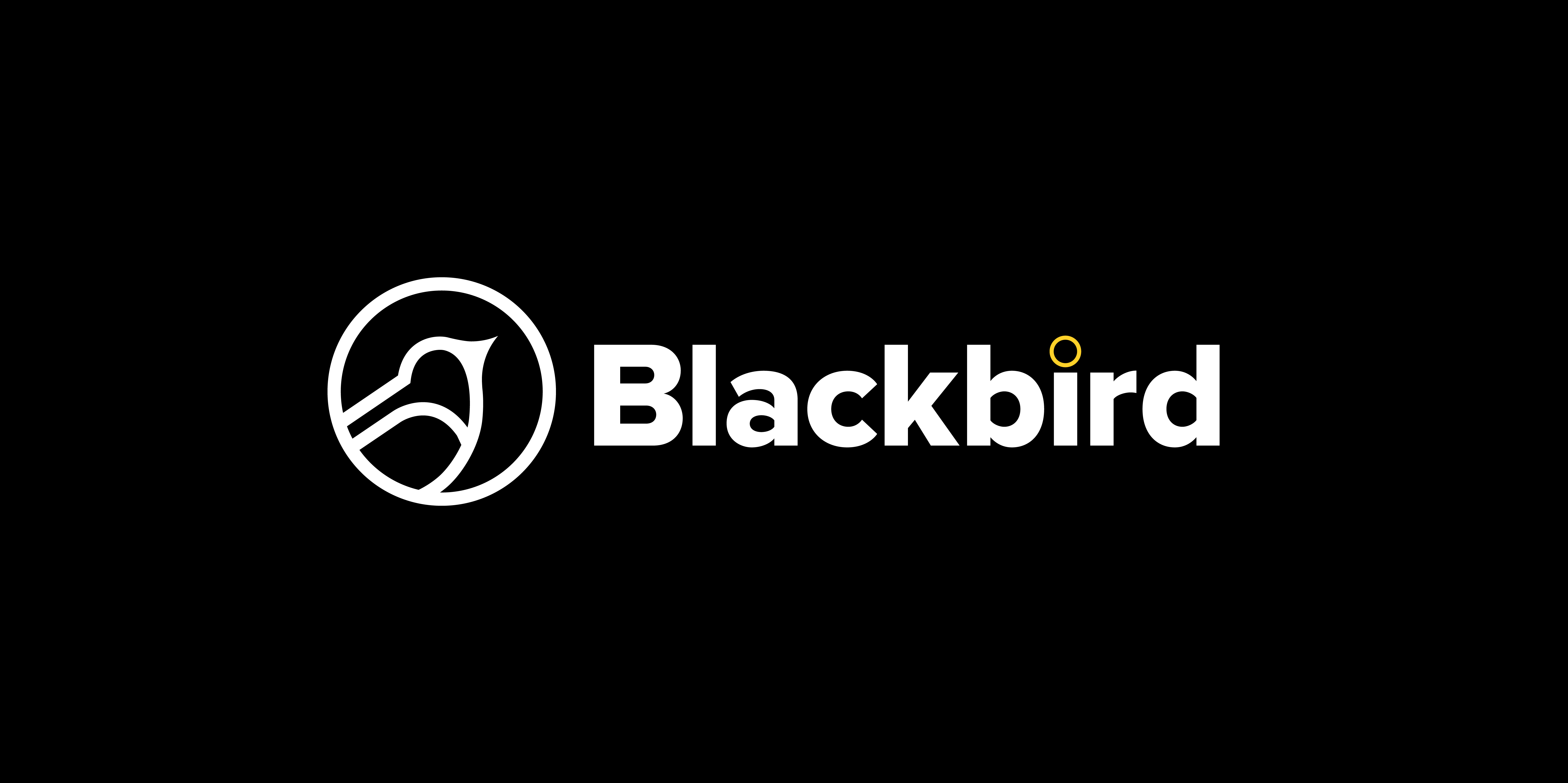 Blackbird_Brand-Snapshot-Updated-08